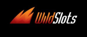 WildSlots Logo