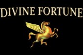 Casino Room Divine Fortune Promotie